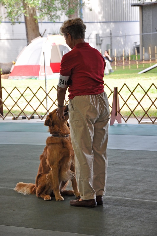 Shows &amp; Trials - K-9 OBEDIENCE CLUB OF JACKSONVILLE, INC